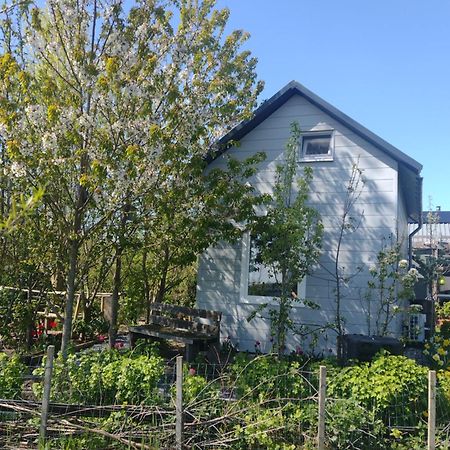 Tuinhuisje In Het Groen Almere Buitenkant foto