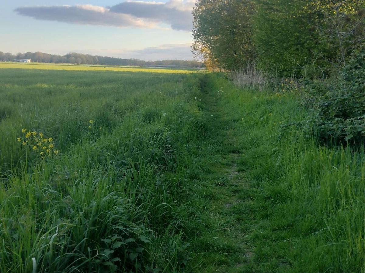 Tuinhuisje In Het Groen Almere Buitenkant foto