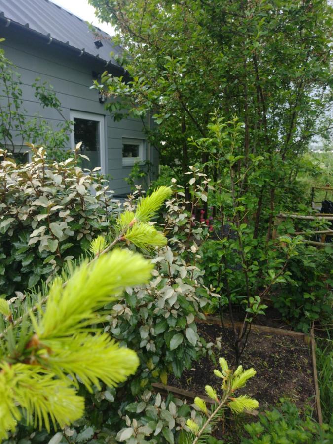 Tuinhuisje In Het Groen Almere Buitenkant foto