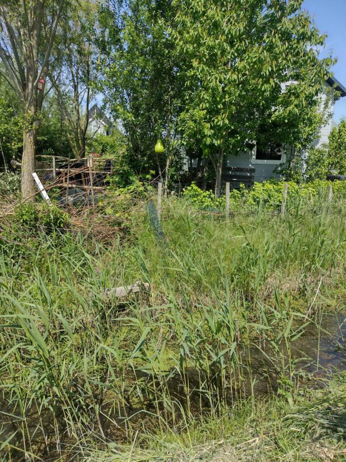 Tuinhuisje In Het Groen Almere Buitenkant foto
